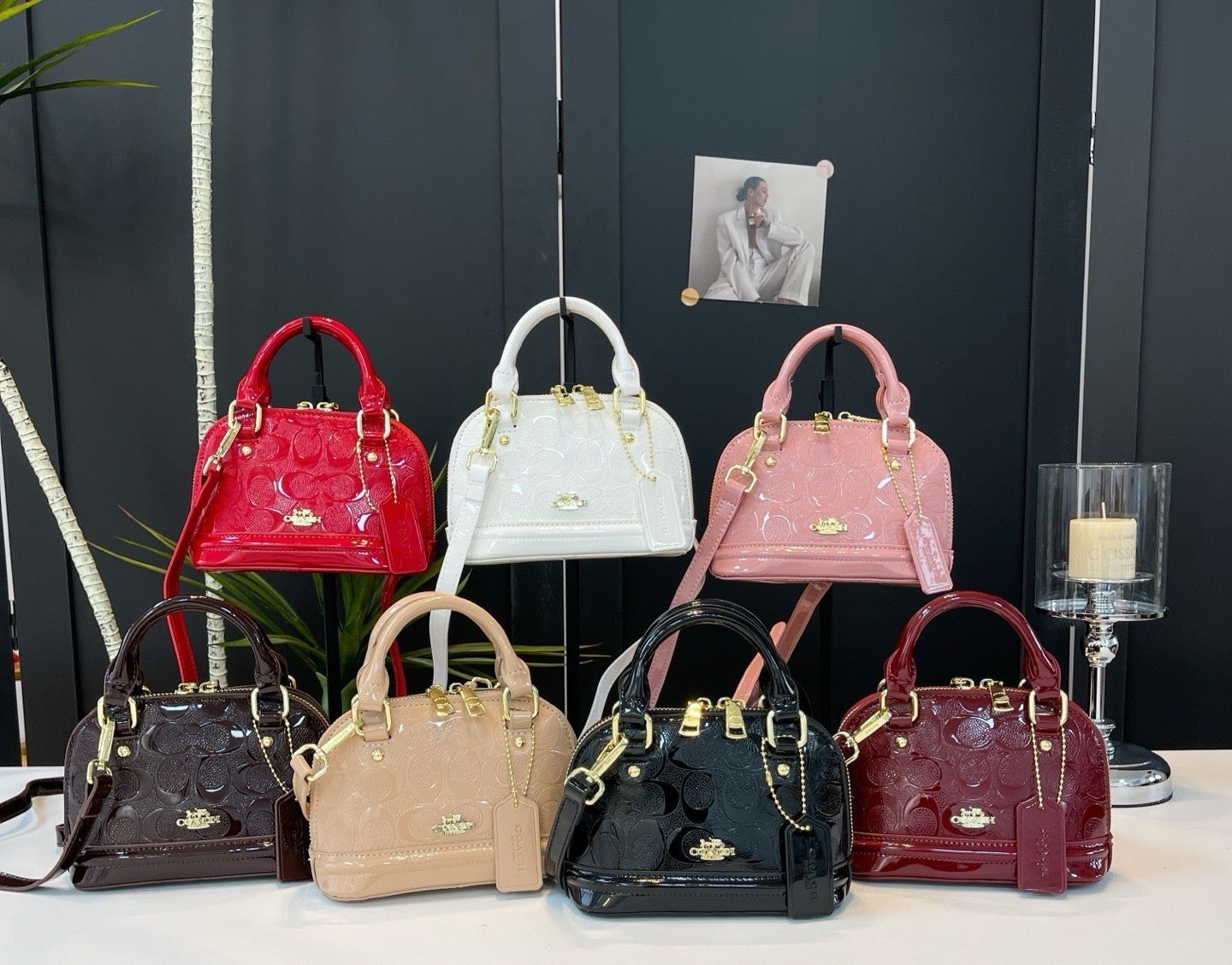 Coach inspired mini handbag