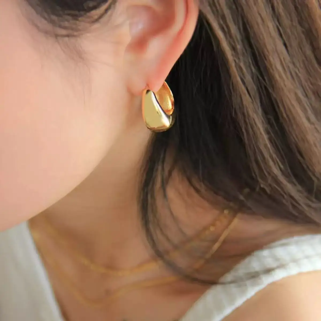 Céline inspired Earrings