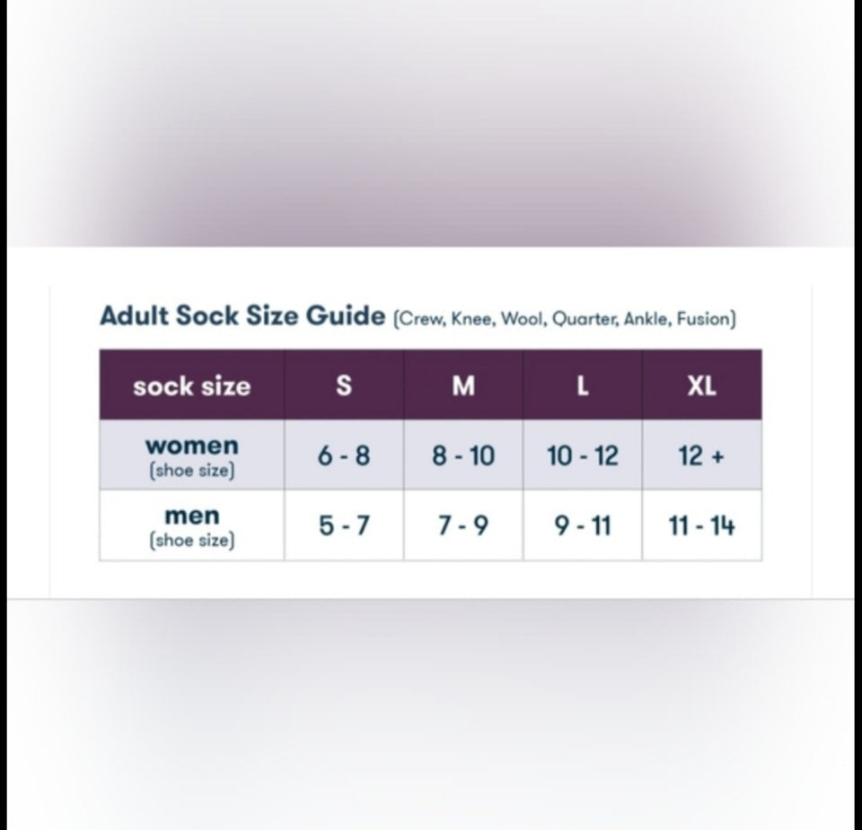 Celine Designer inspired Socks Set