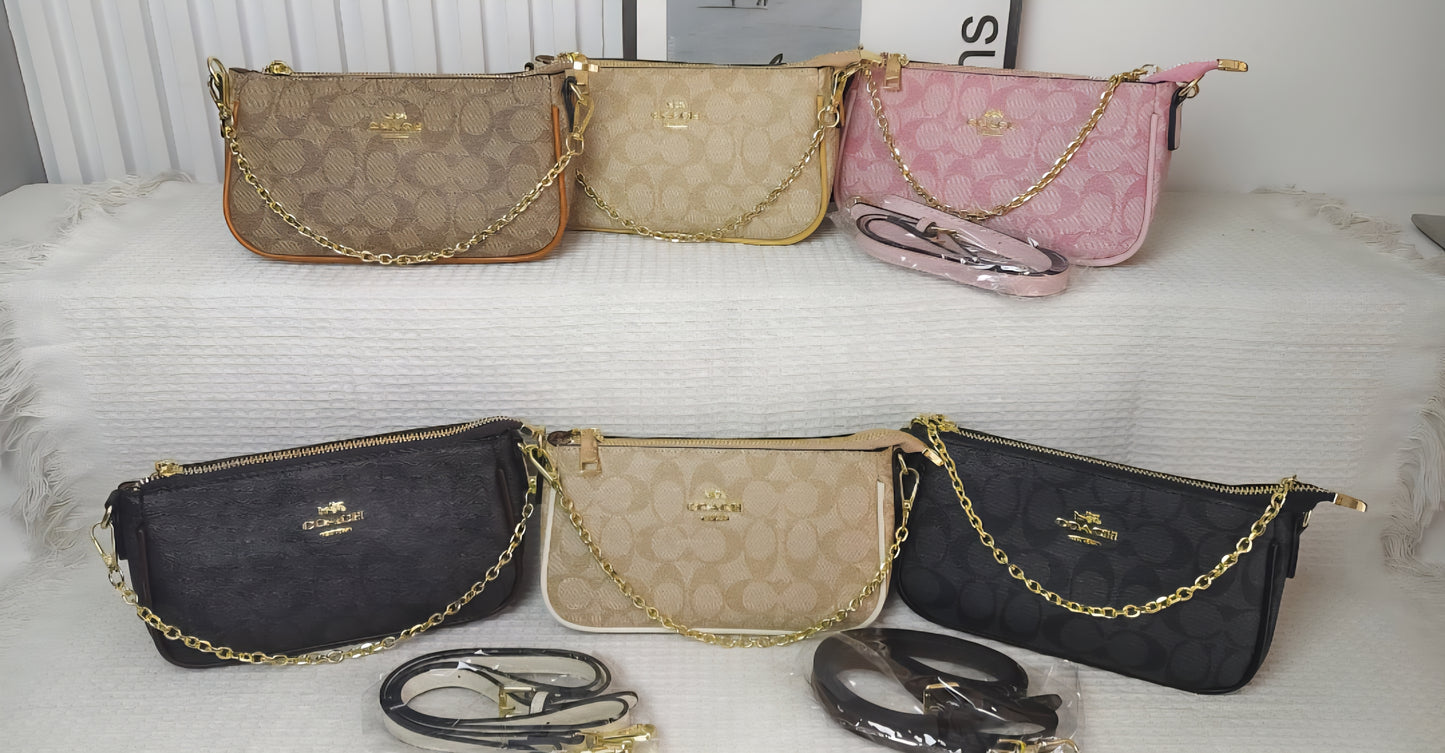 Coach inspired handbag