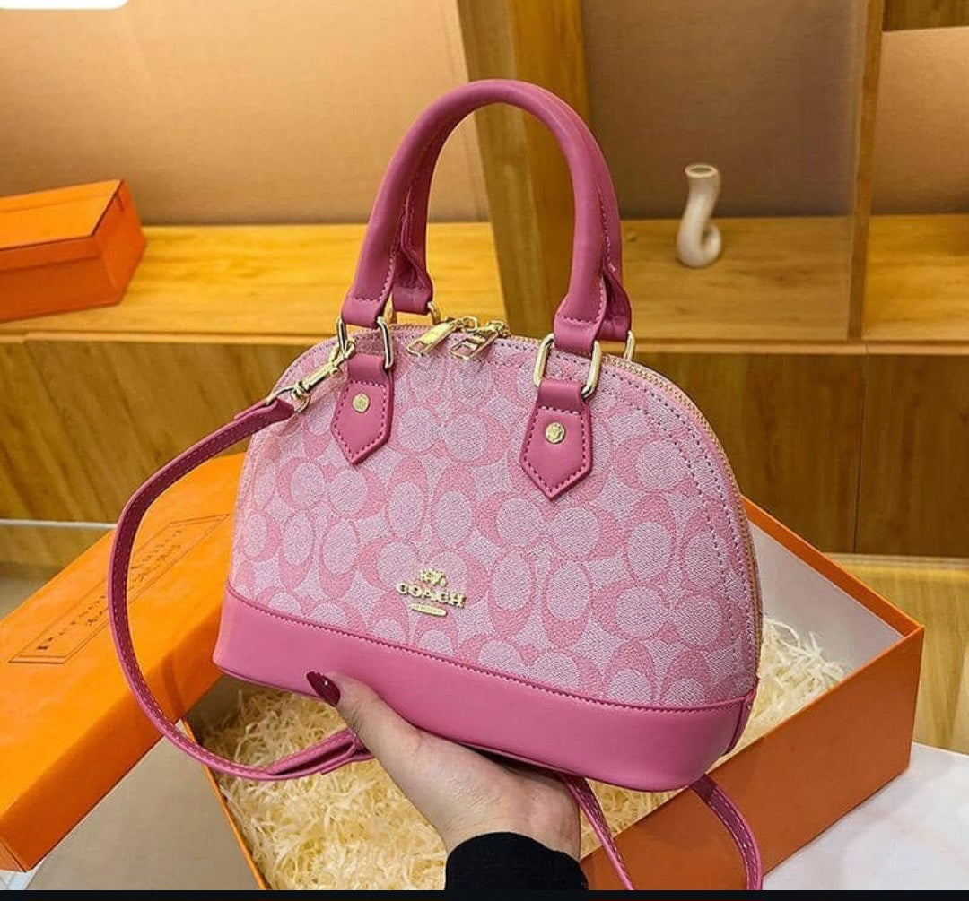 Coach inspired handbag