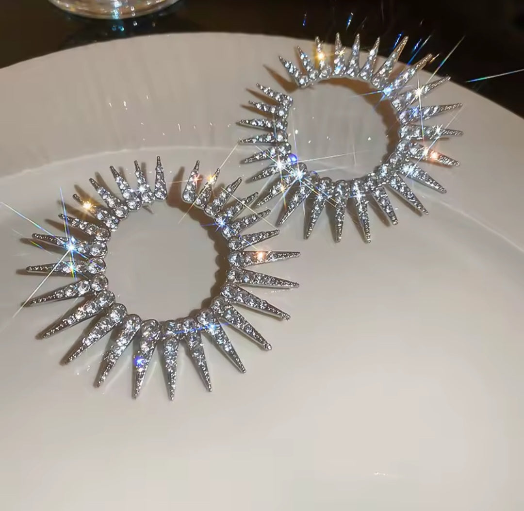 Fashion Statement Earrings