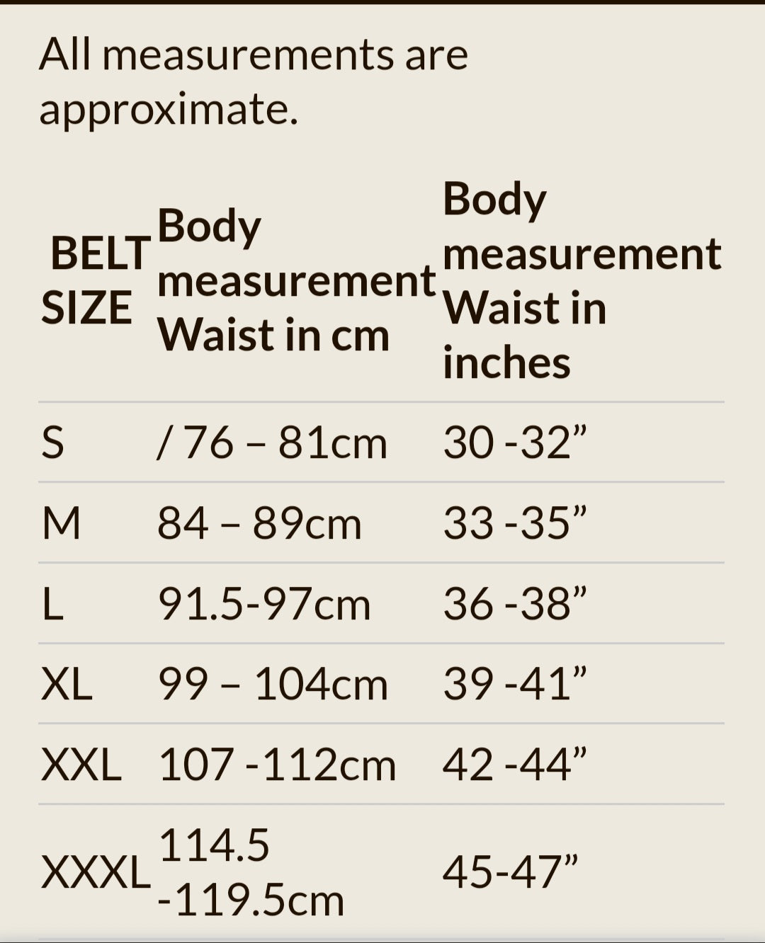 LV Designer Inspired Belts