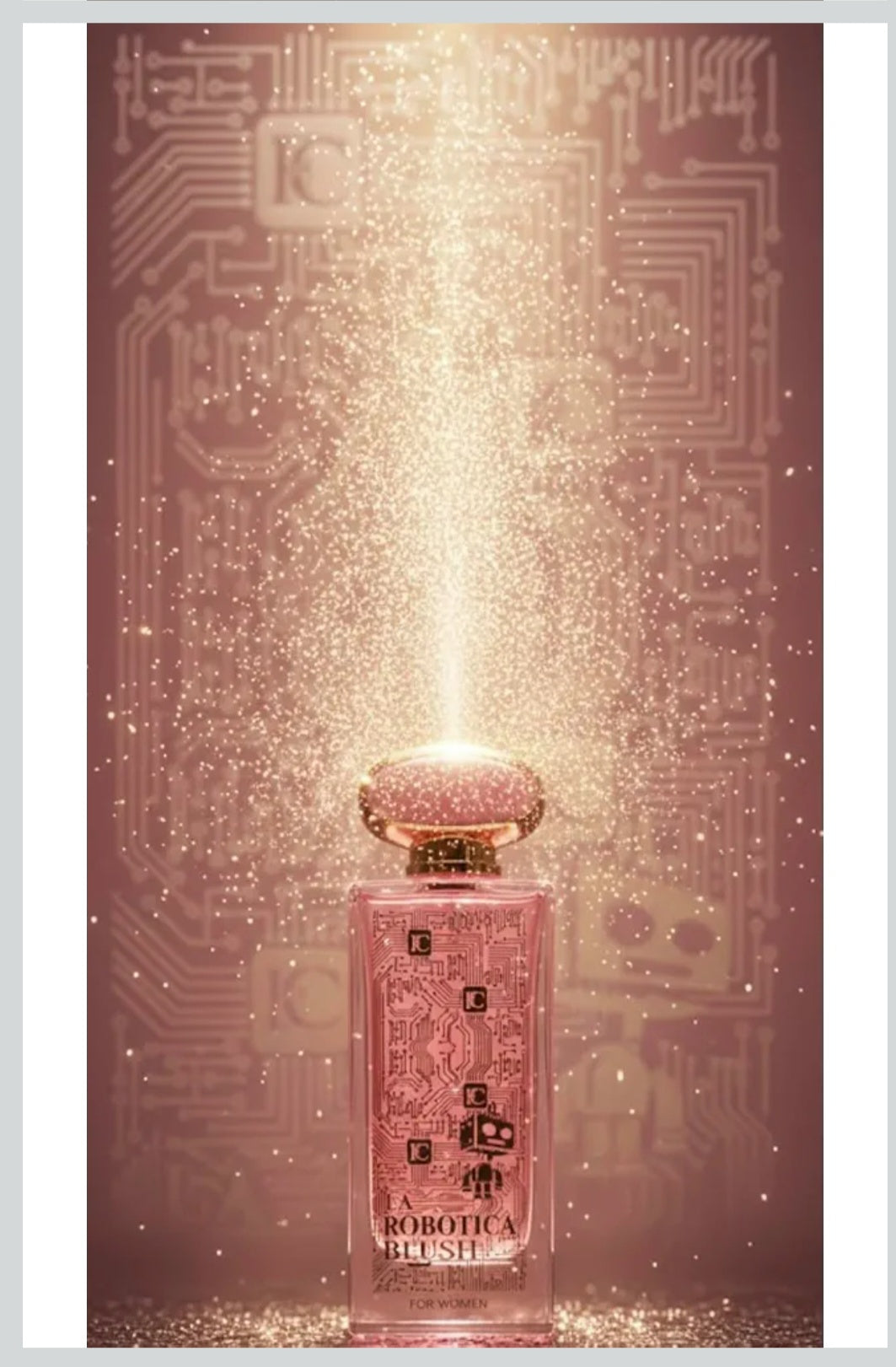 Paco Rabanne Fame Inspired  (La Robotica Blush)