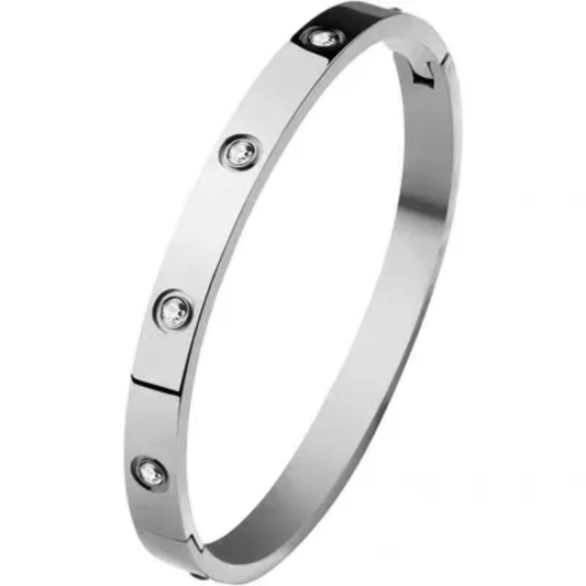10 Diamond Stainless Steel Bangles