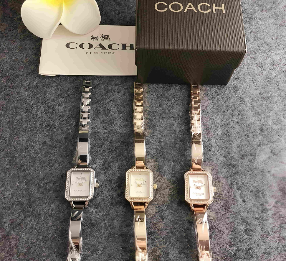 Coach inspired silver watch