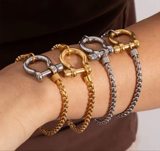 Horse Bit Screw Lock Bracelet