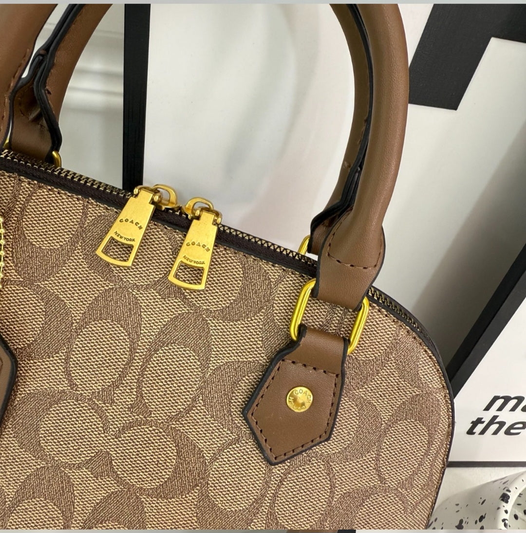 Coach inspired handbag