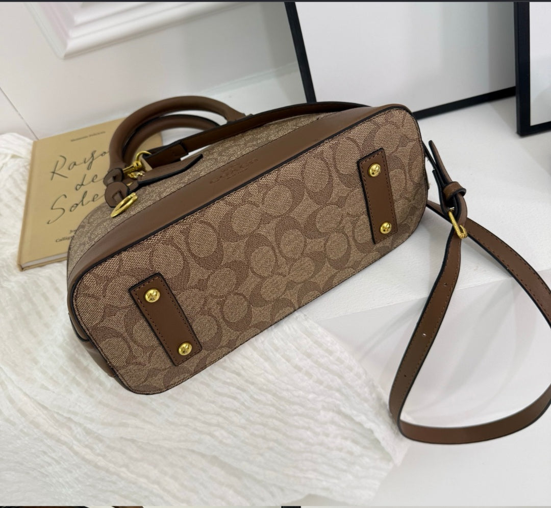 Coach inspired handbag