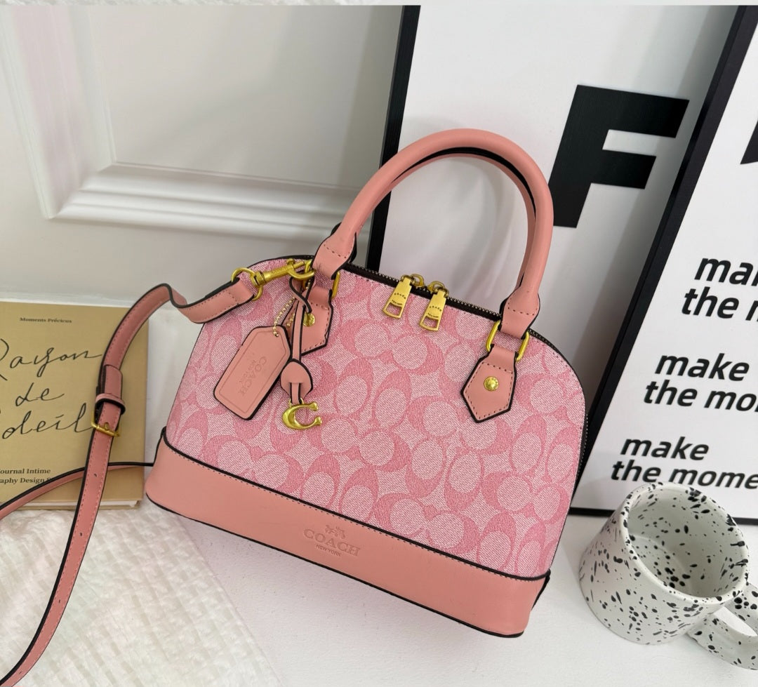 Coach inspired handbag