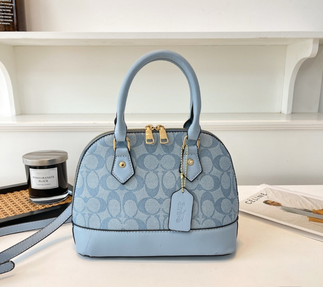 Coach inspired handbag