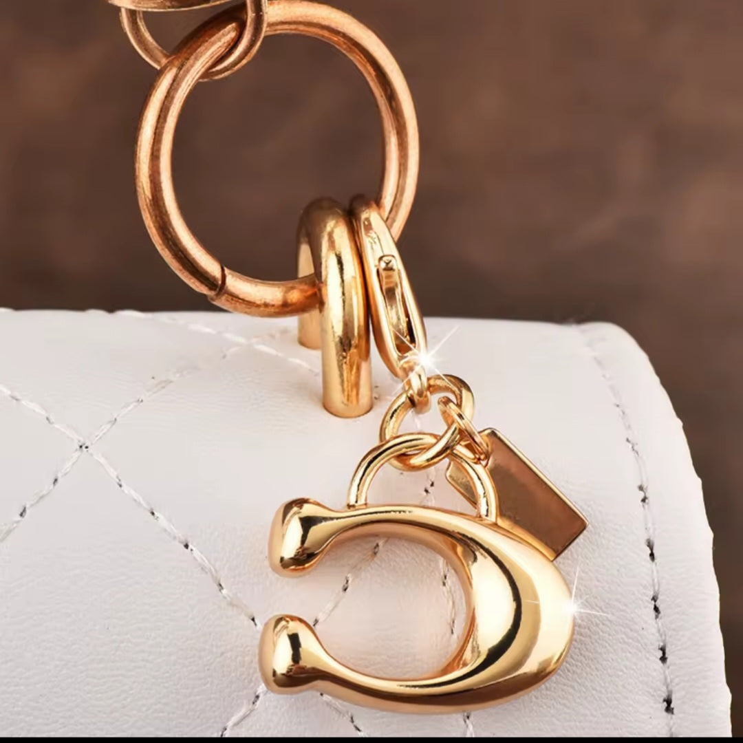 Coach inspired handbag accessories