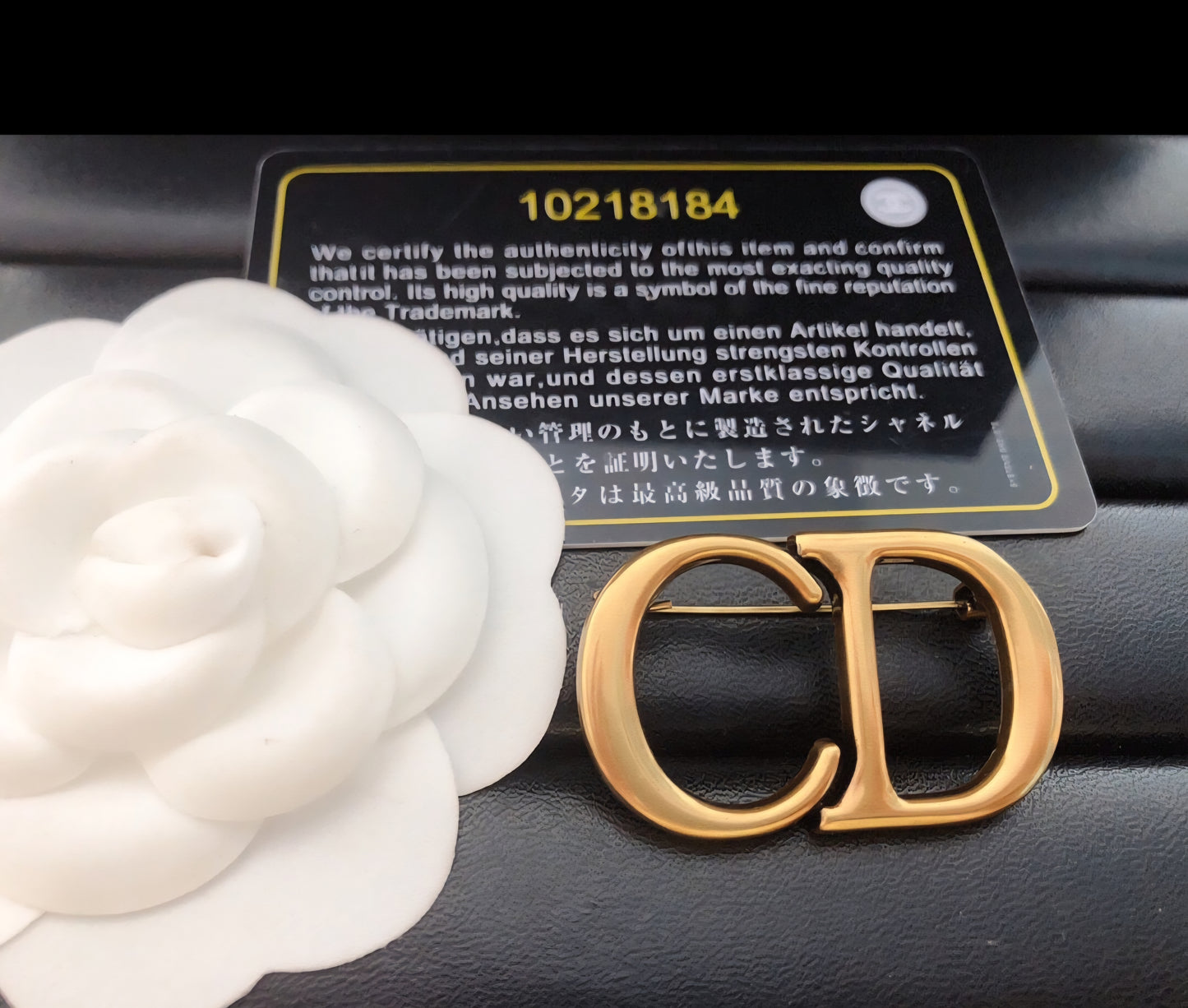 Christian Dior Inspired Brooch