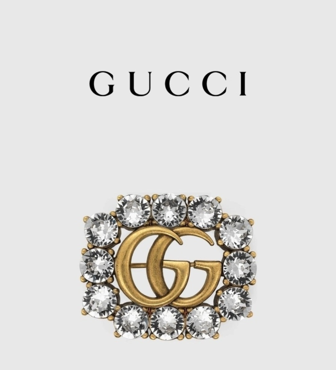 Gucci inspired Brooch