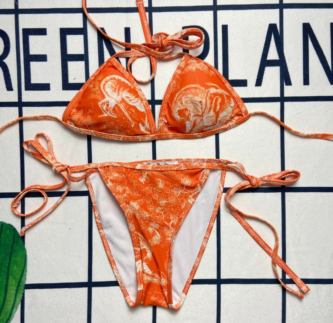 Christian Dior 2pc Bikini Set