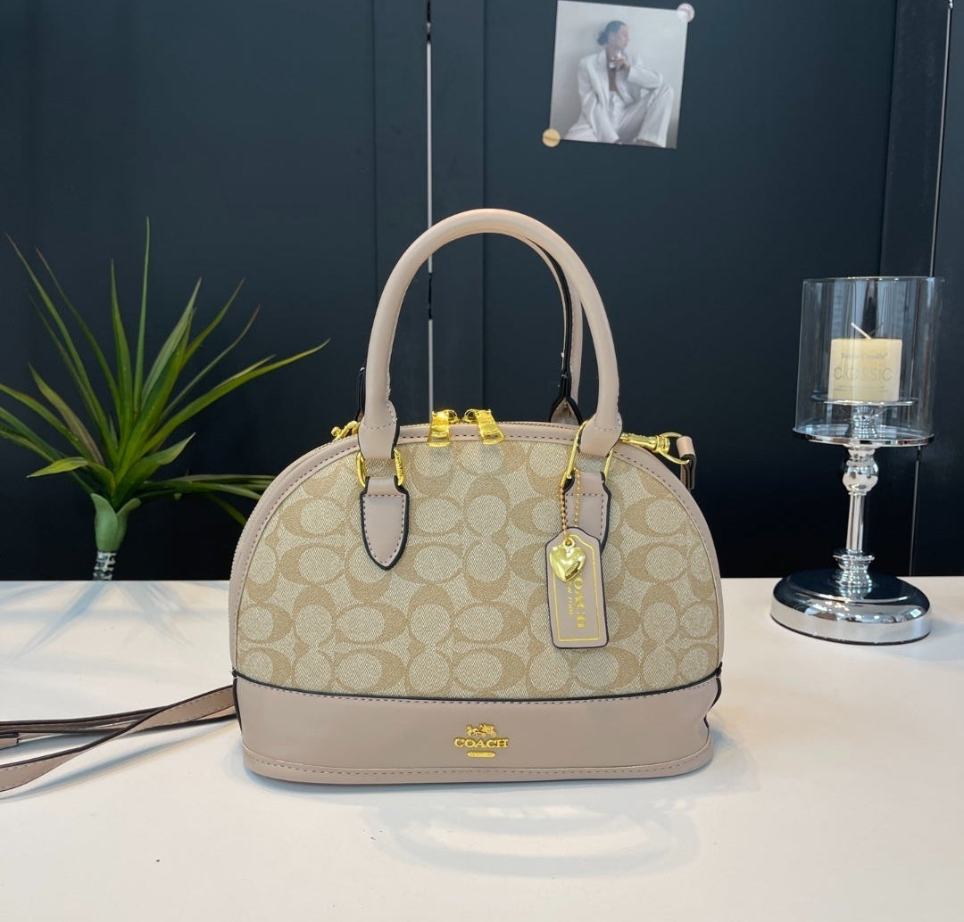 Coach inspired handbag