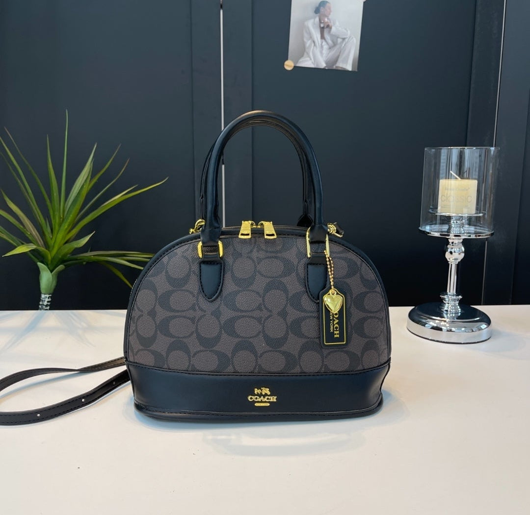 Coach inspired handbag