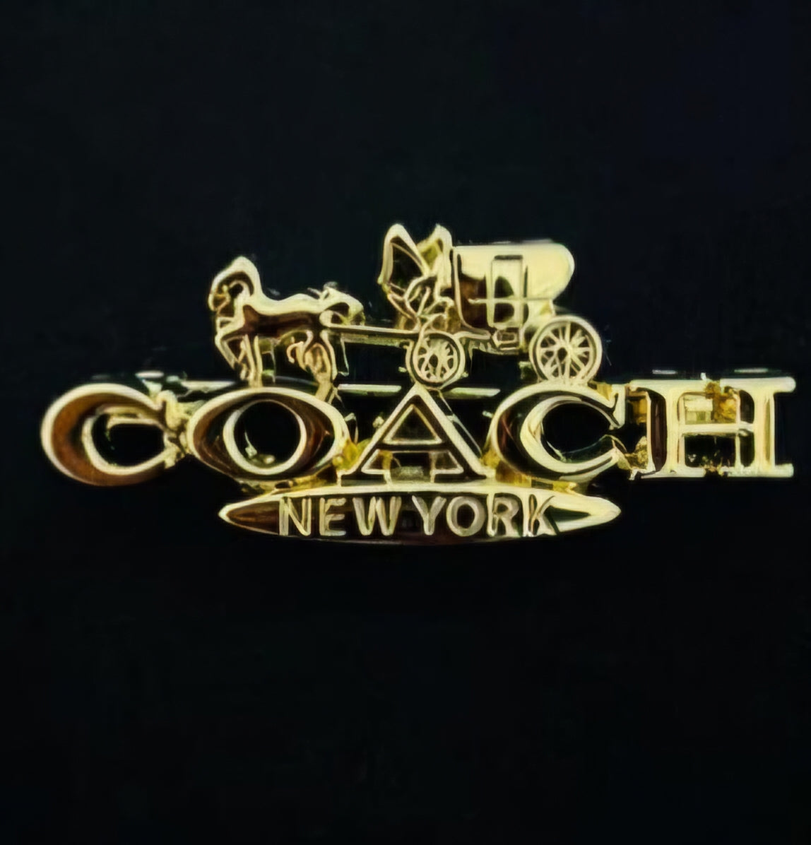 Coach inspired Brooches
