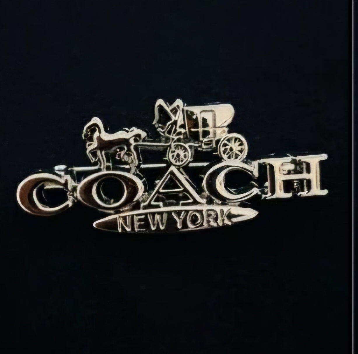 Coach inspired Brooches