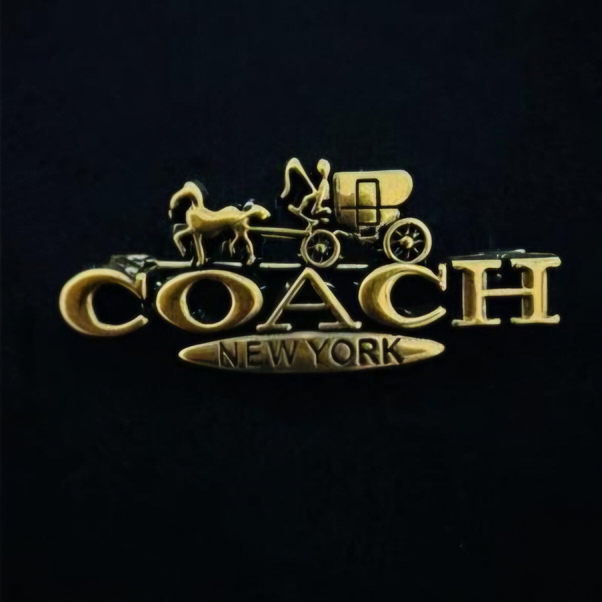 Coach inspired Brooches