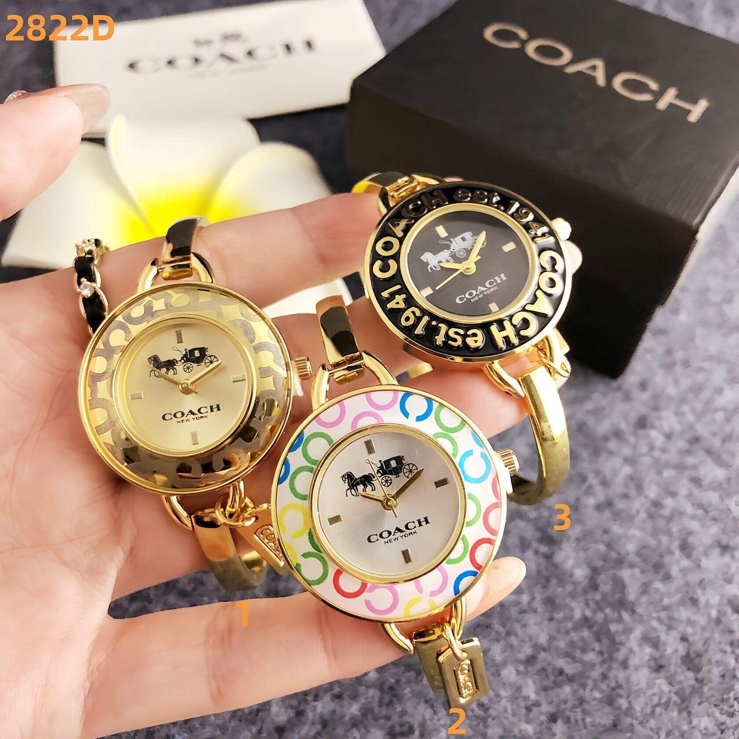 Coach inspired Bangle Watch