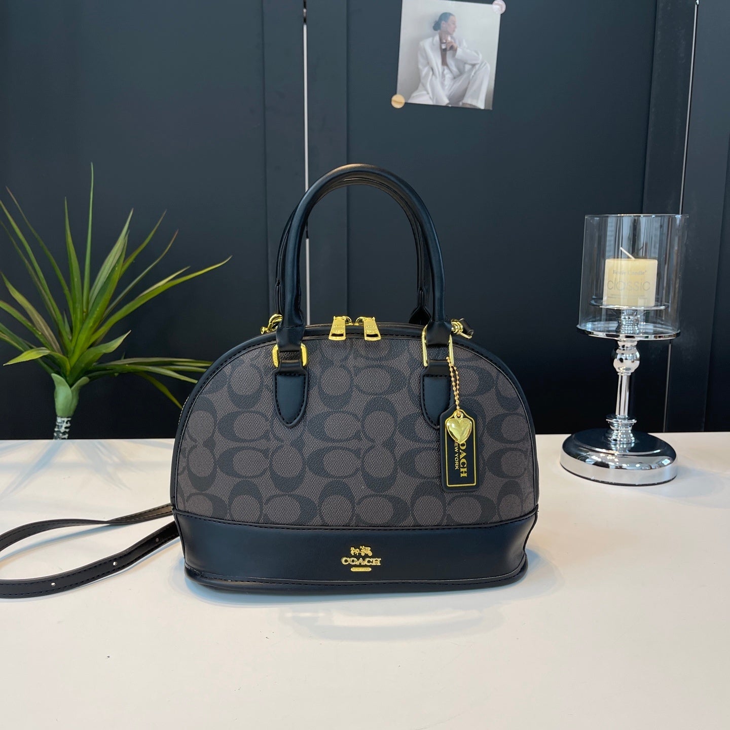 Coach inspired handbag