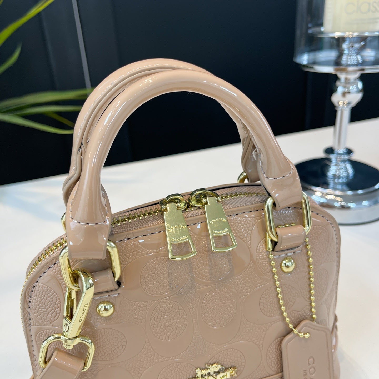 Coach inspired mini handbag