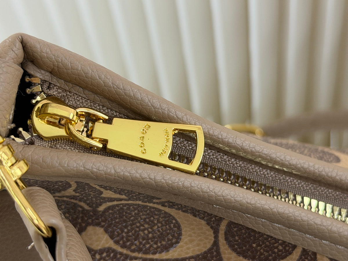 Coach inspired handbag
