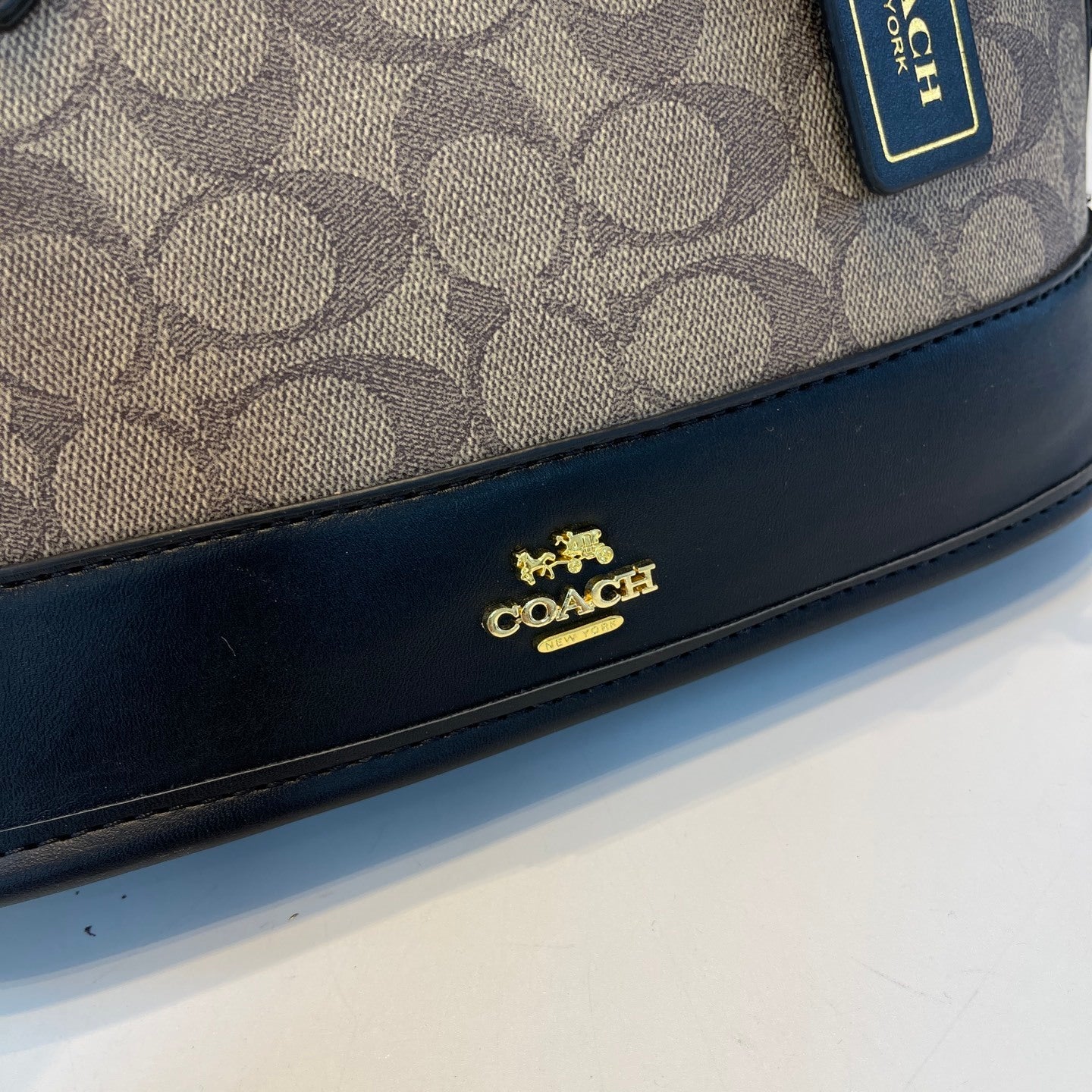 Coach inspired handbag