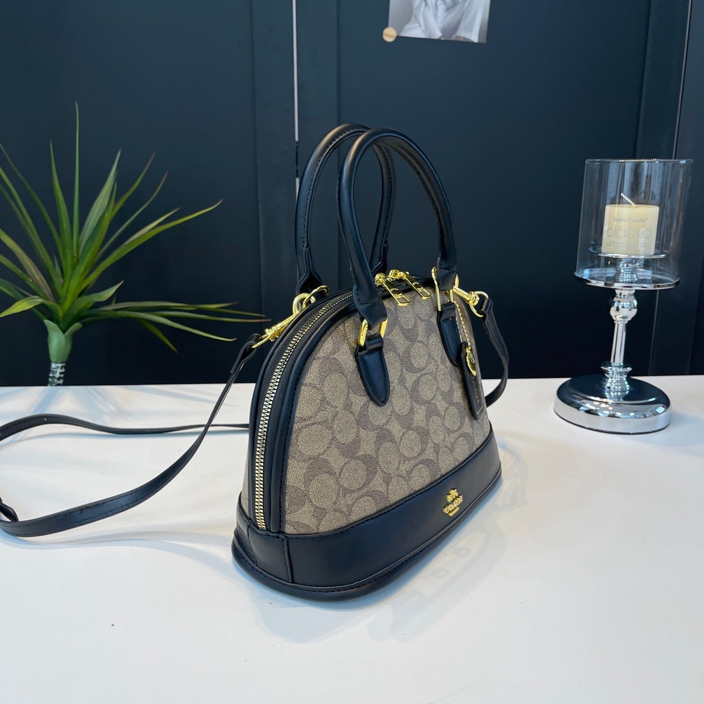 Coach inspired handbag