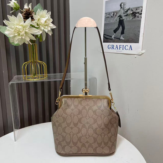 Coach inspired handbag