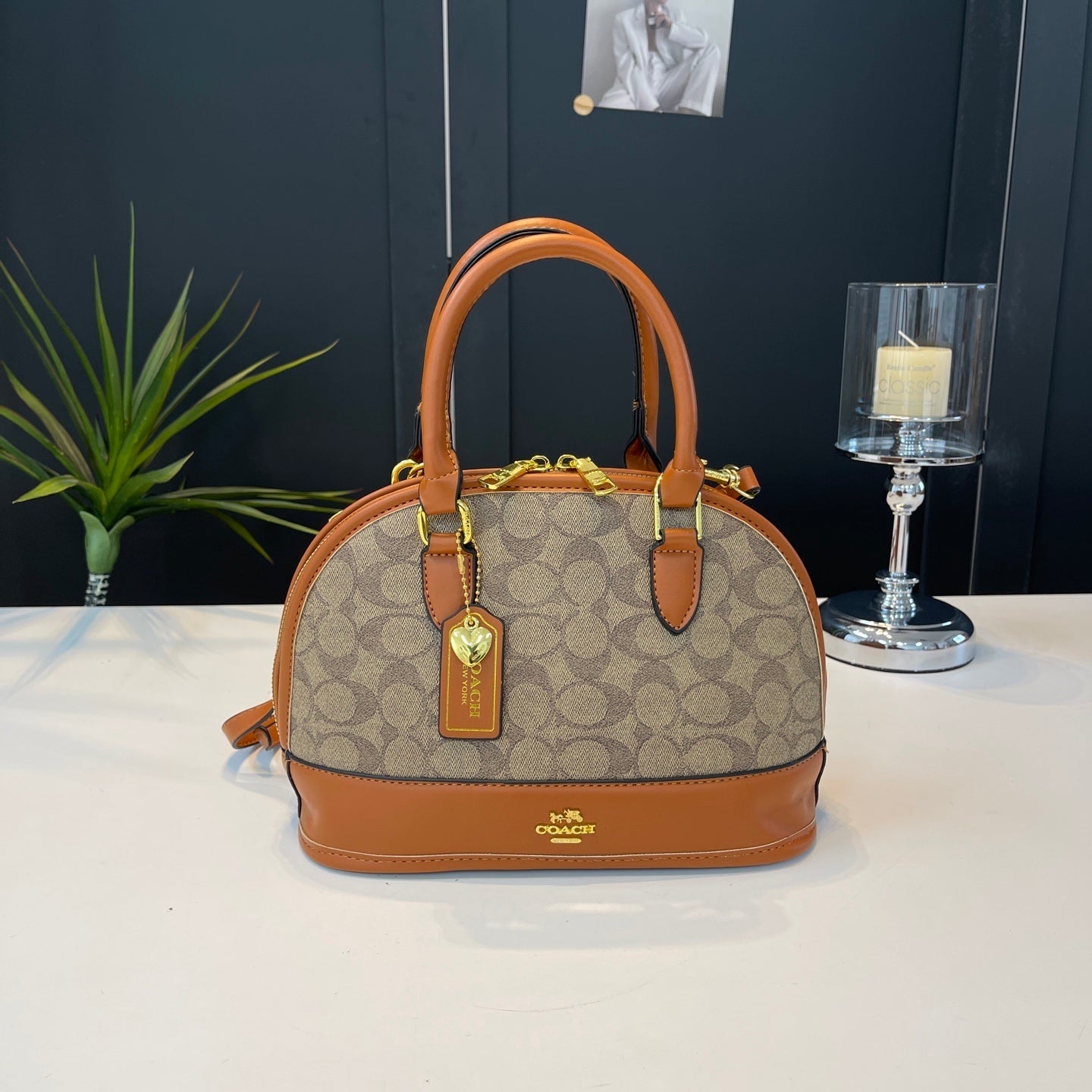 Coach inspired handbag