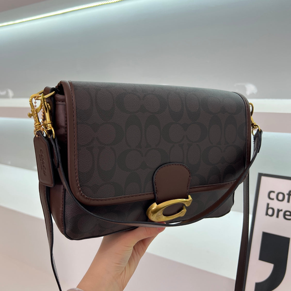 Coach inspired handbag