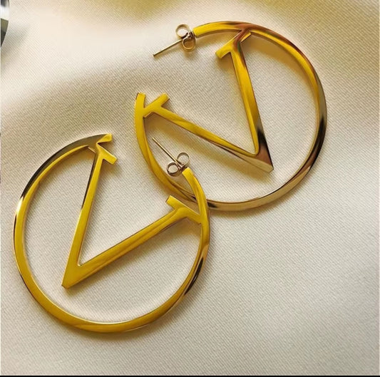 Inspired Stainless Steel earrings