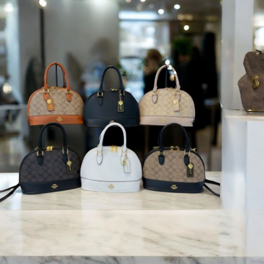 Coach inspired handbag