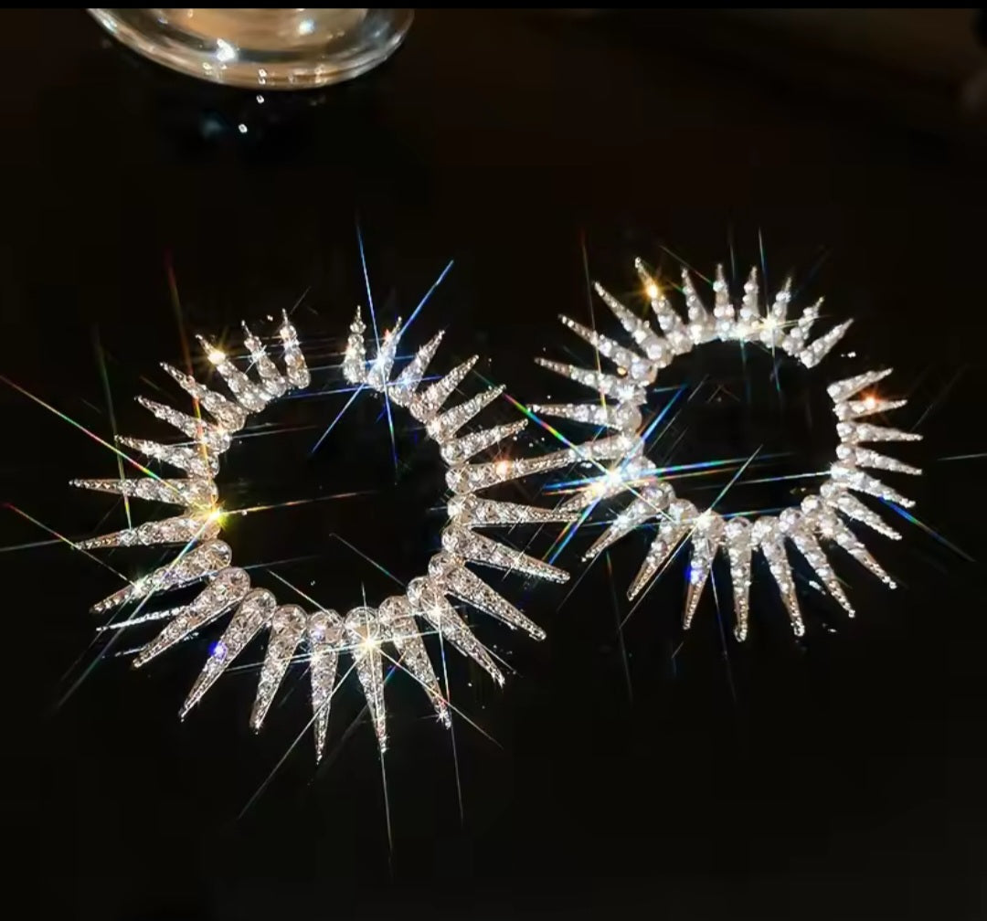 Fashion Statement Earrings