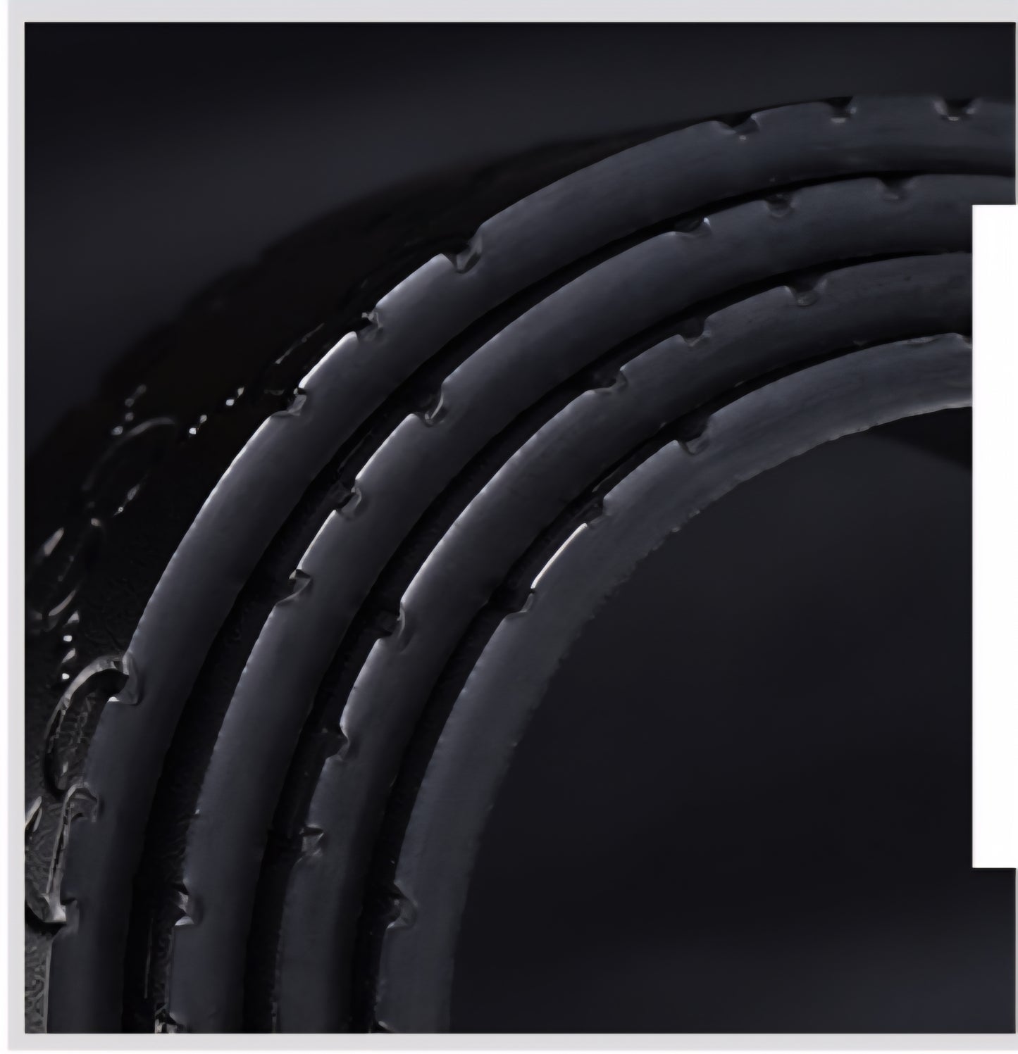 Gucci inspired Leather belt