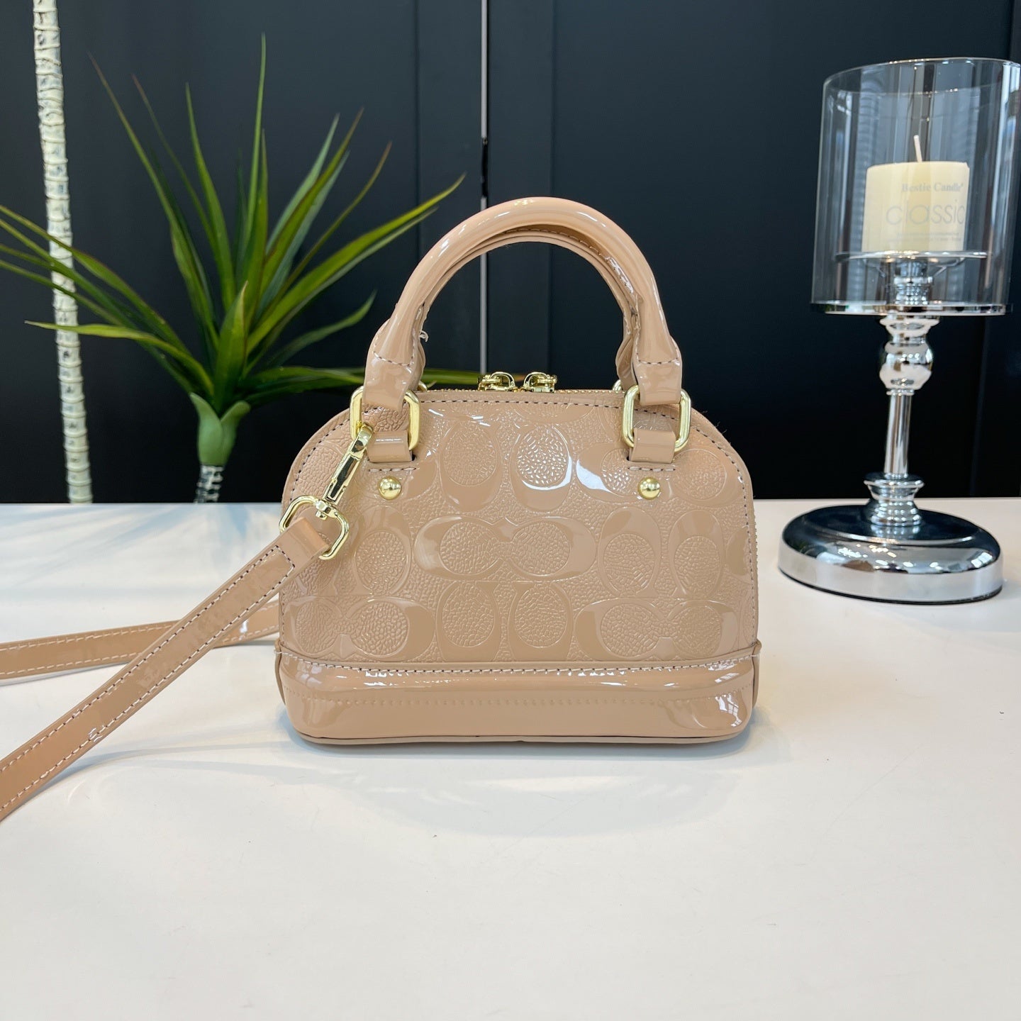 Coach inspired mini handbag