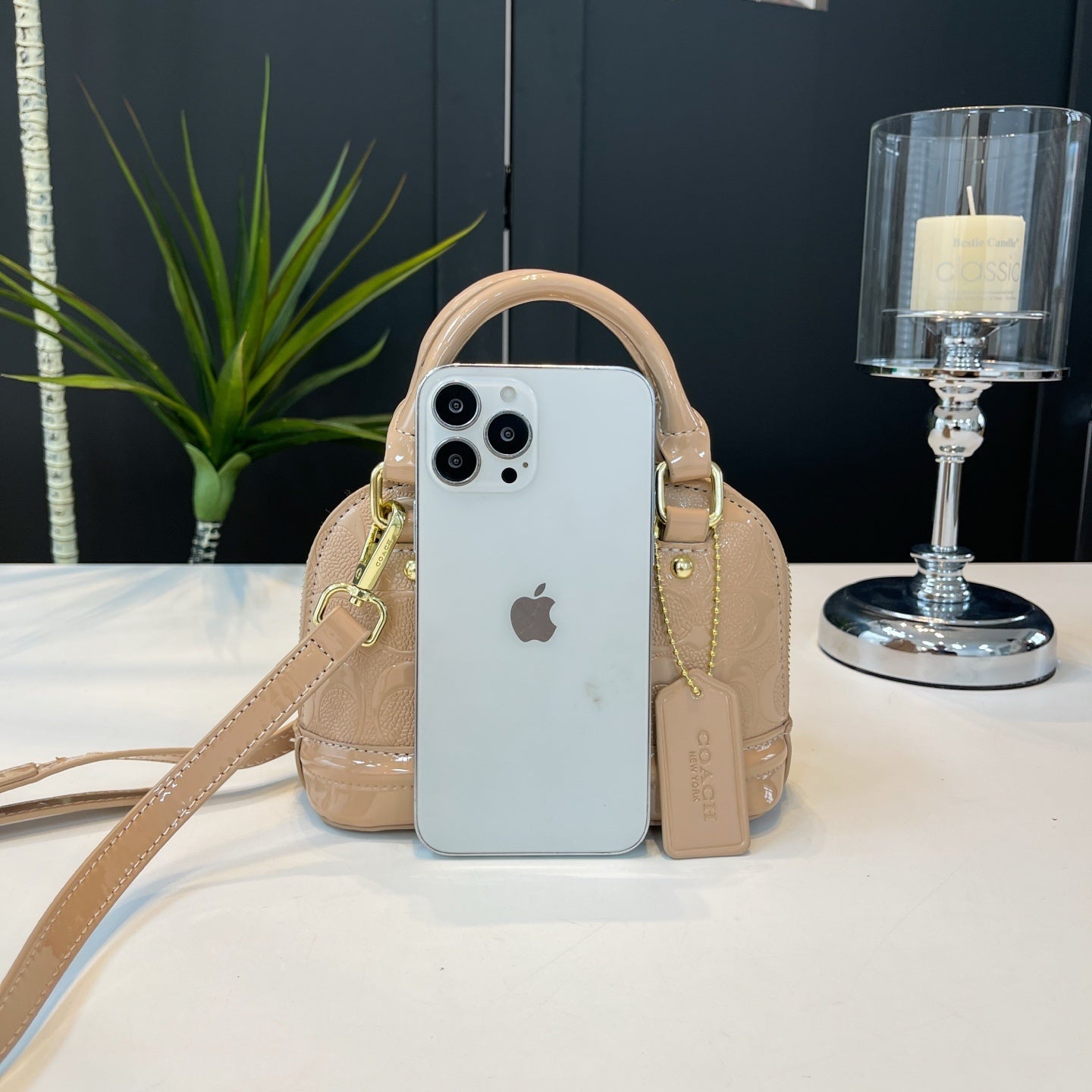 Coach inspired mini handbag