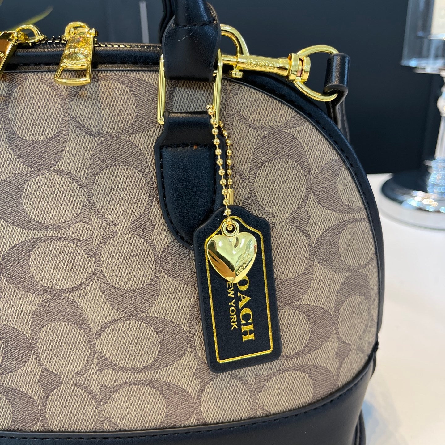 Coach inspired handbag