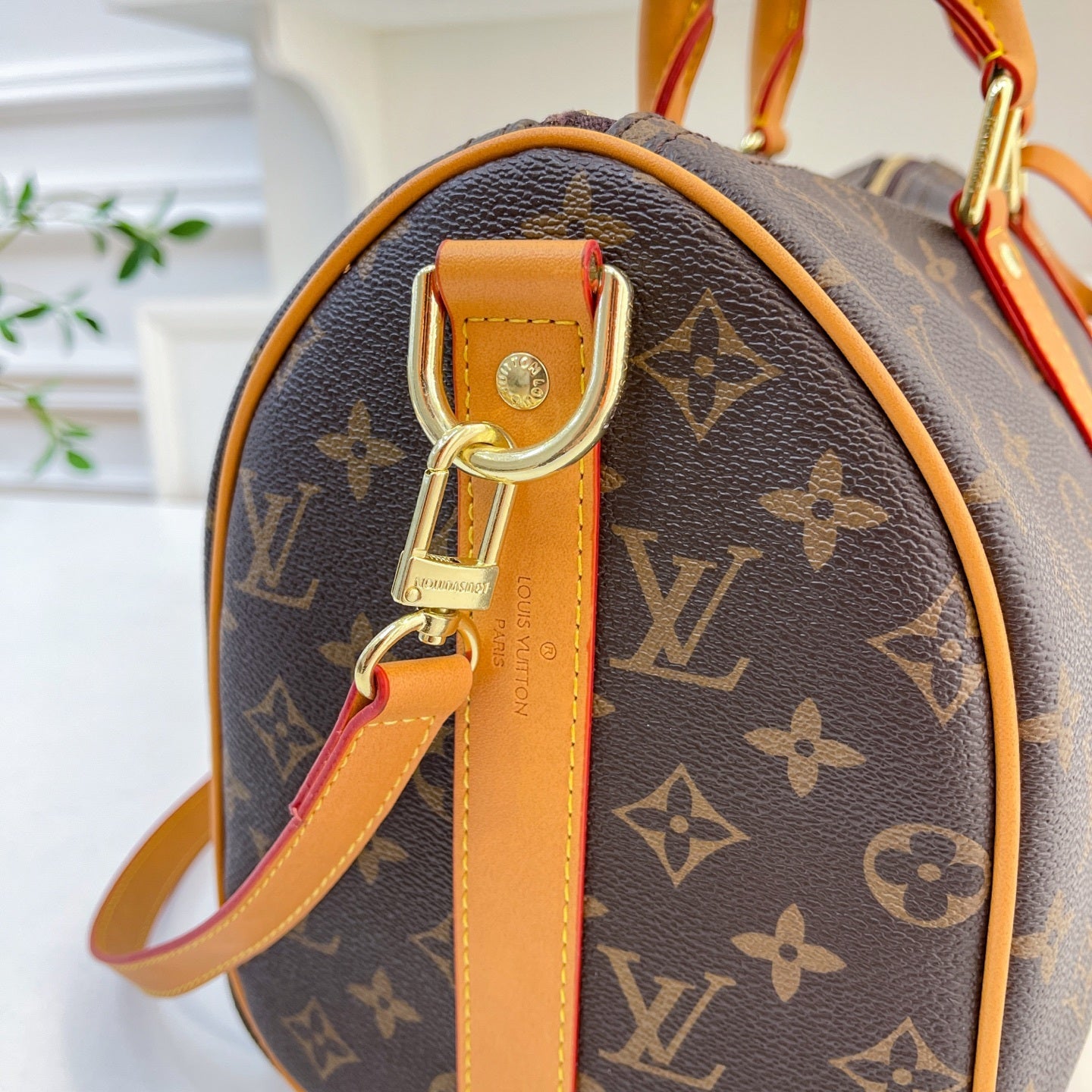LV Designer Inspired Speedy Bags