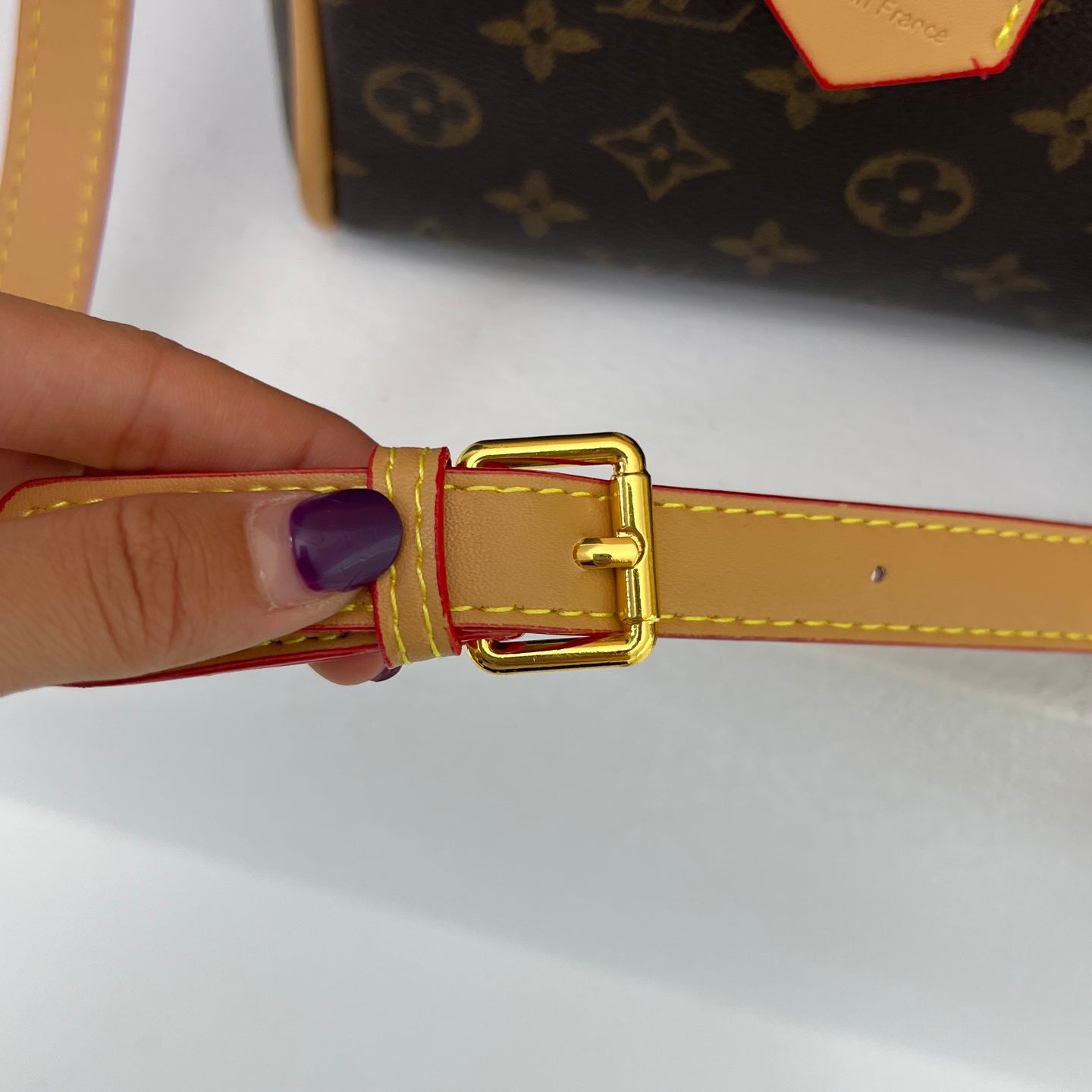 LV inspired Speedy Bags with pouch