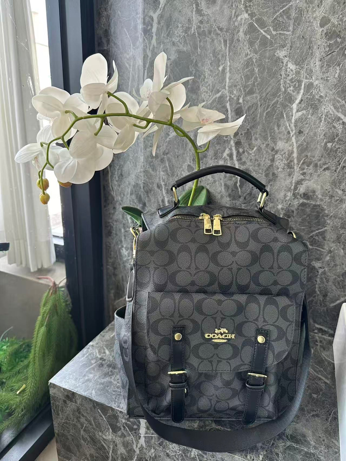 Coach inspired Backpack
