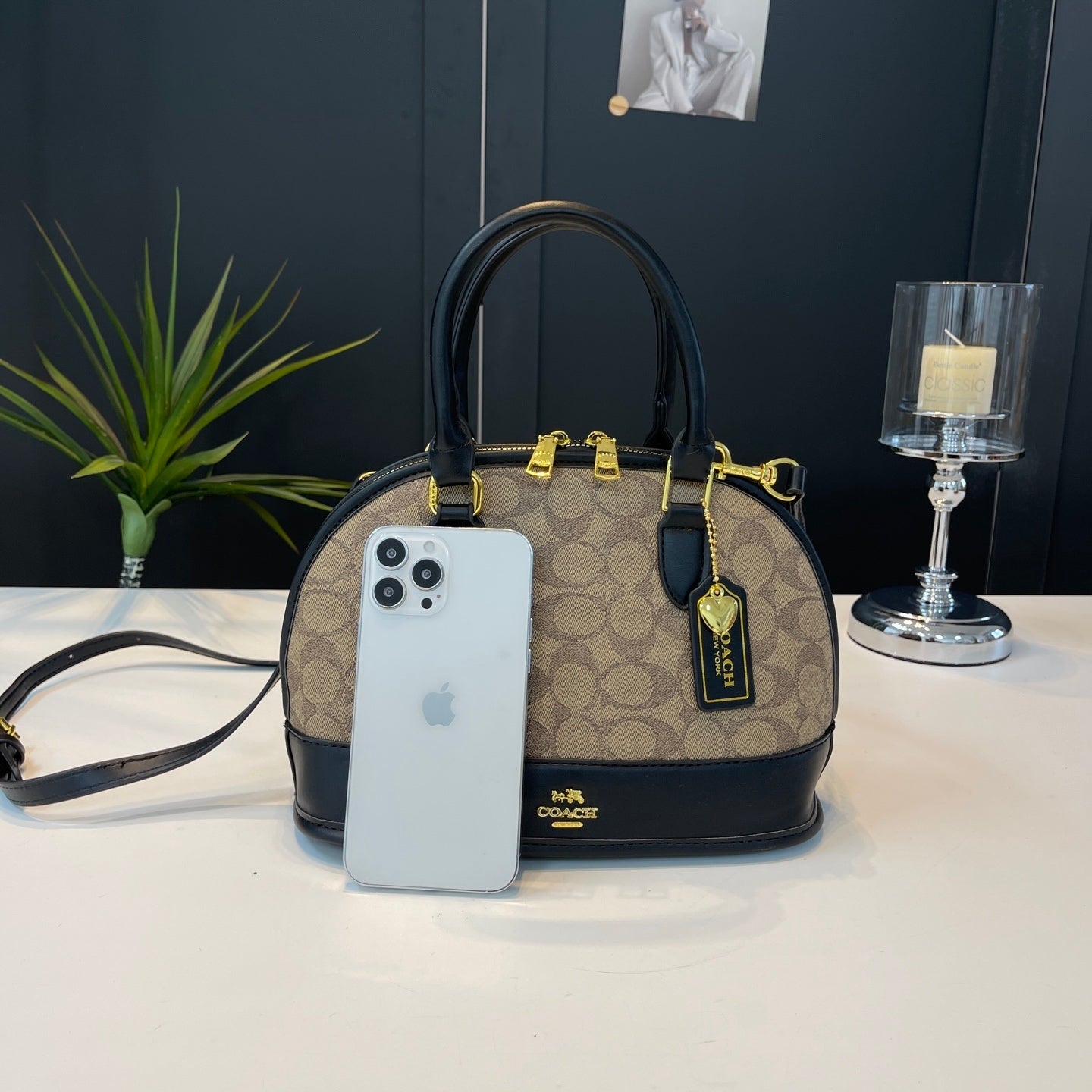 Coach inspired handbag