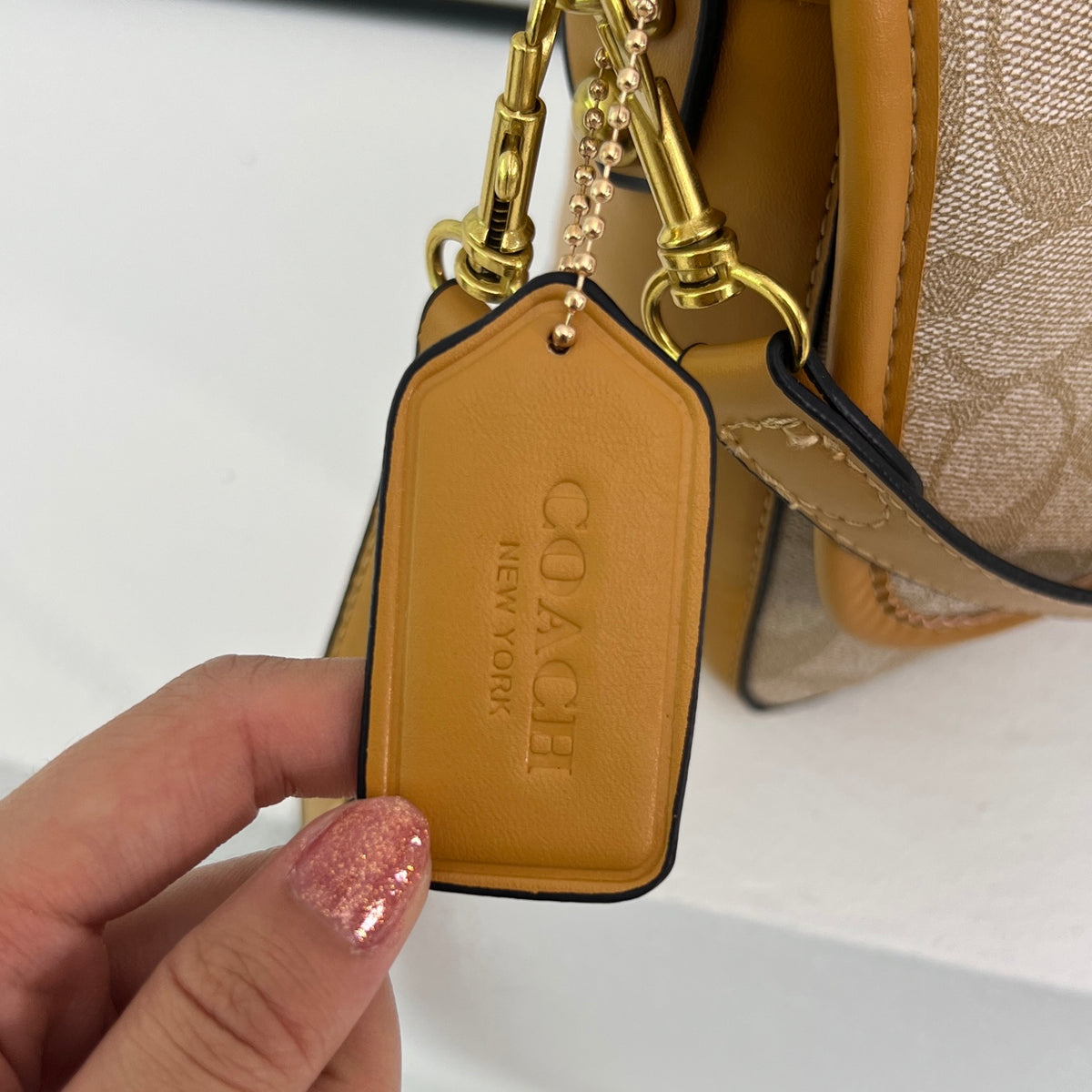 Coach inspired handbag