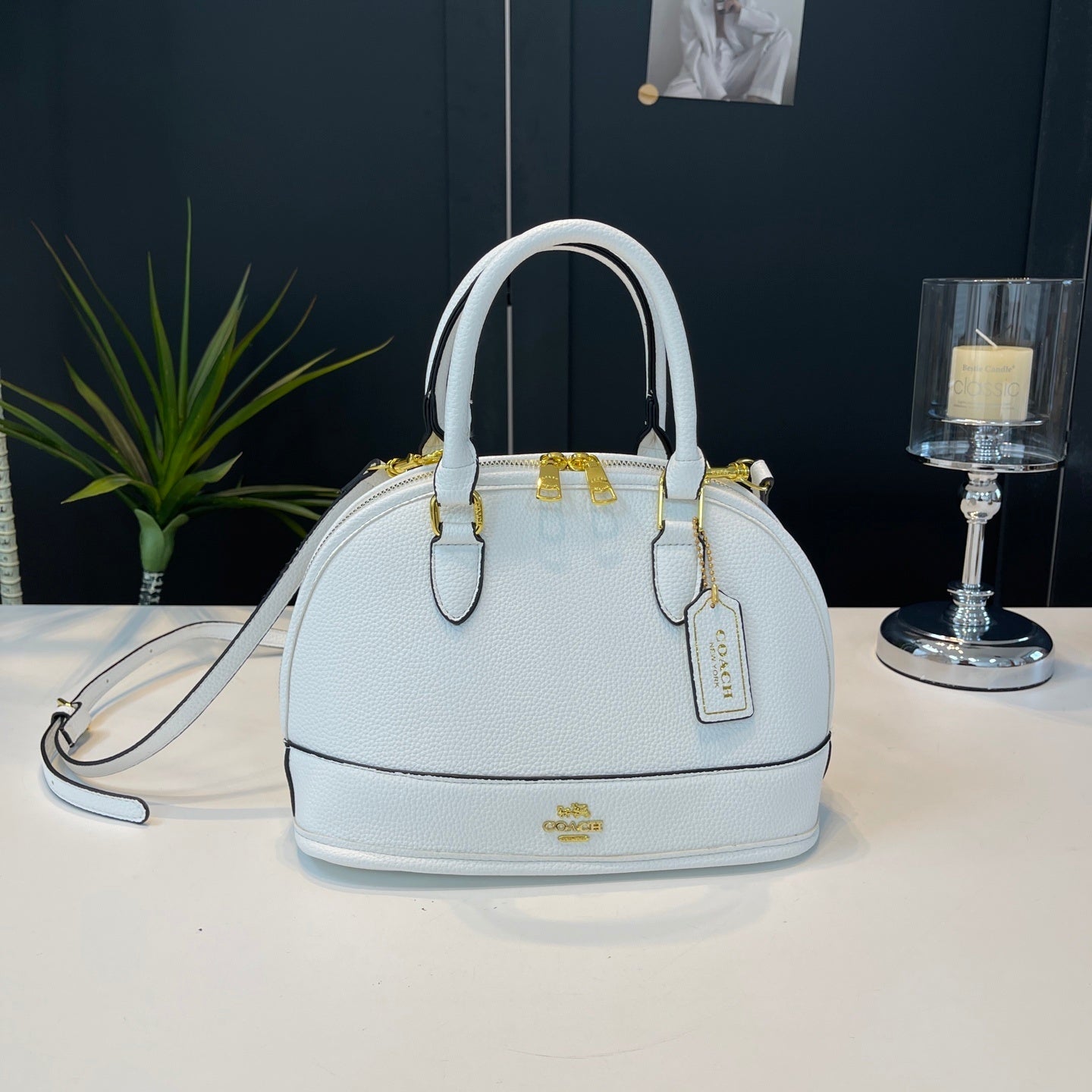 Coach inspired handbag