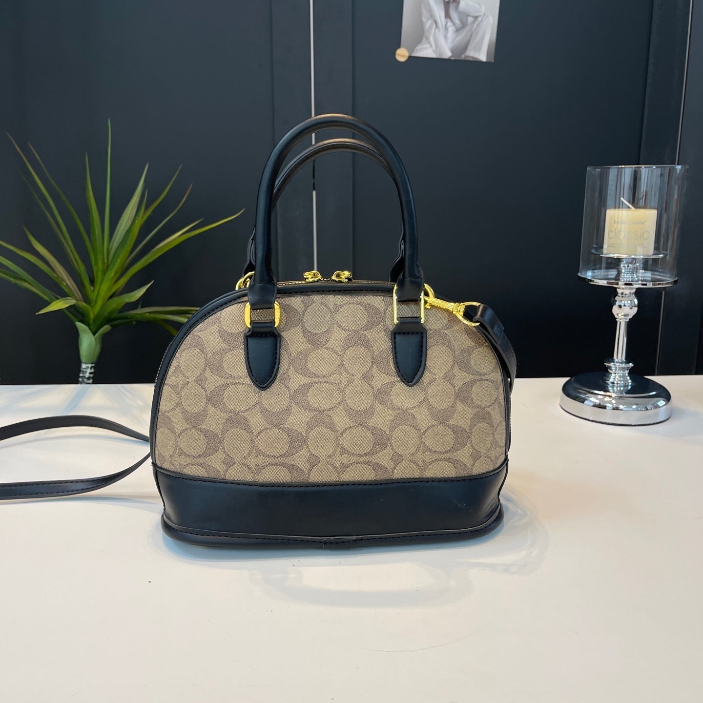 Coach inspired handbag