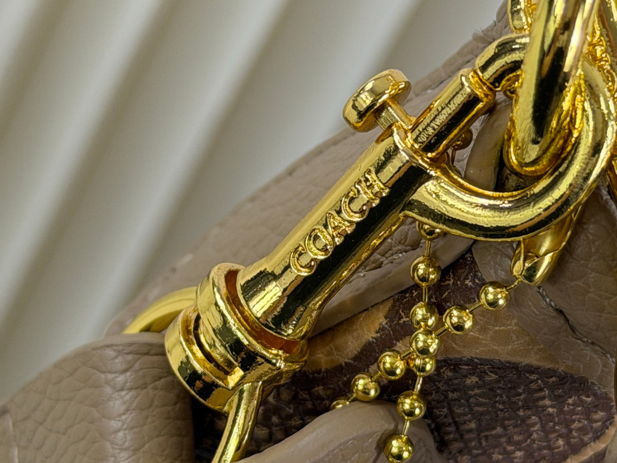 Coach inspired handbag