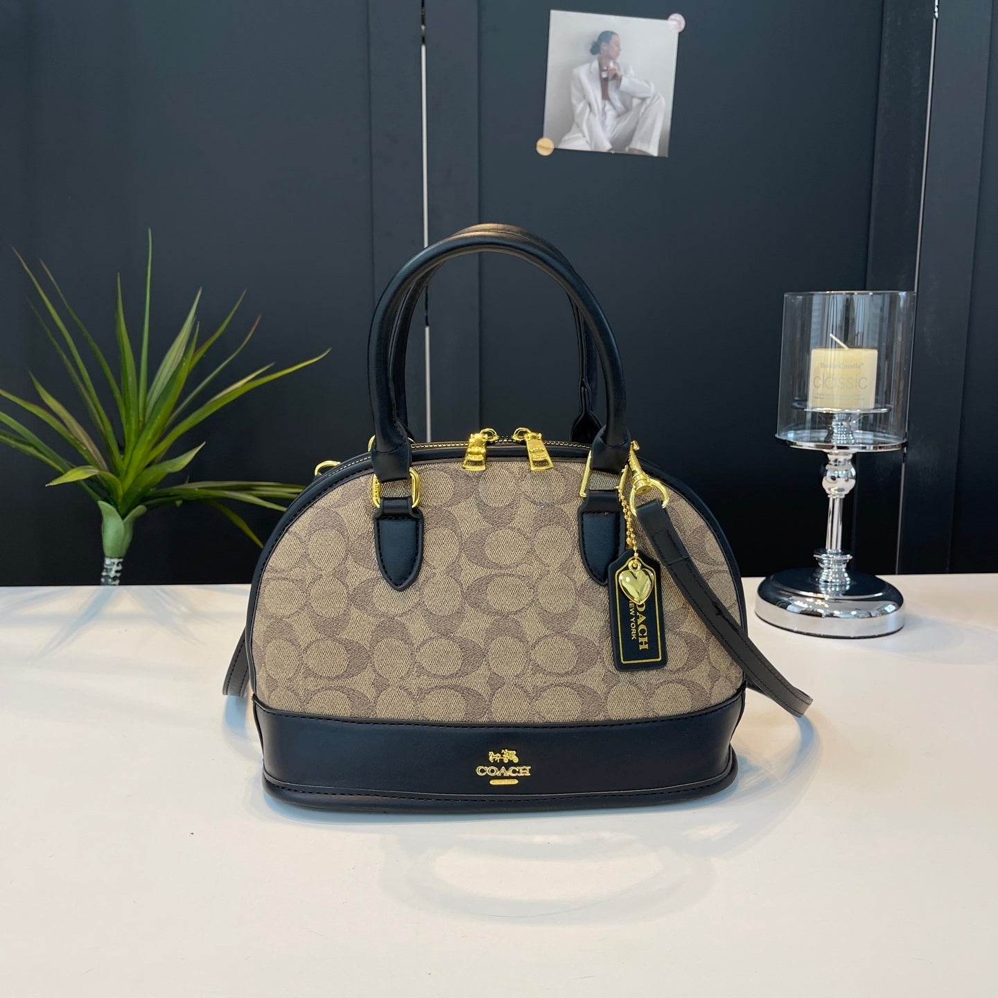 Coach inspired handbag